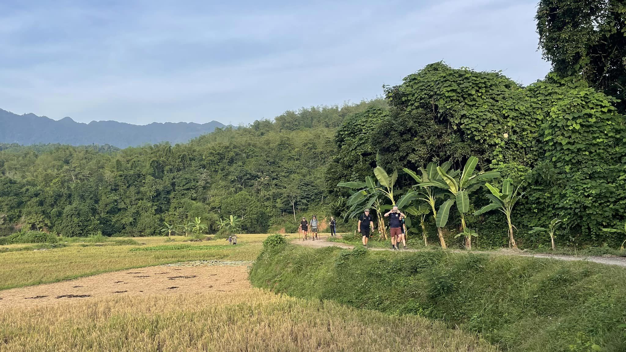 Tour of Hoang Su Phi Trekking to Bac Ha 10 Days